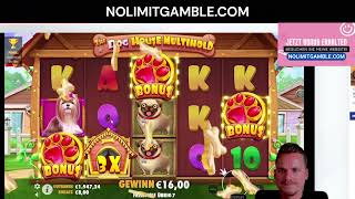 Unglaubliche Gewinne in Online-Casinos! Einfache Echtgeldgewinne bei Dog House von Pragmatic Play!