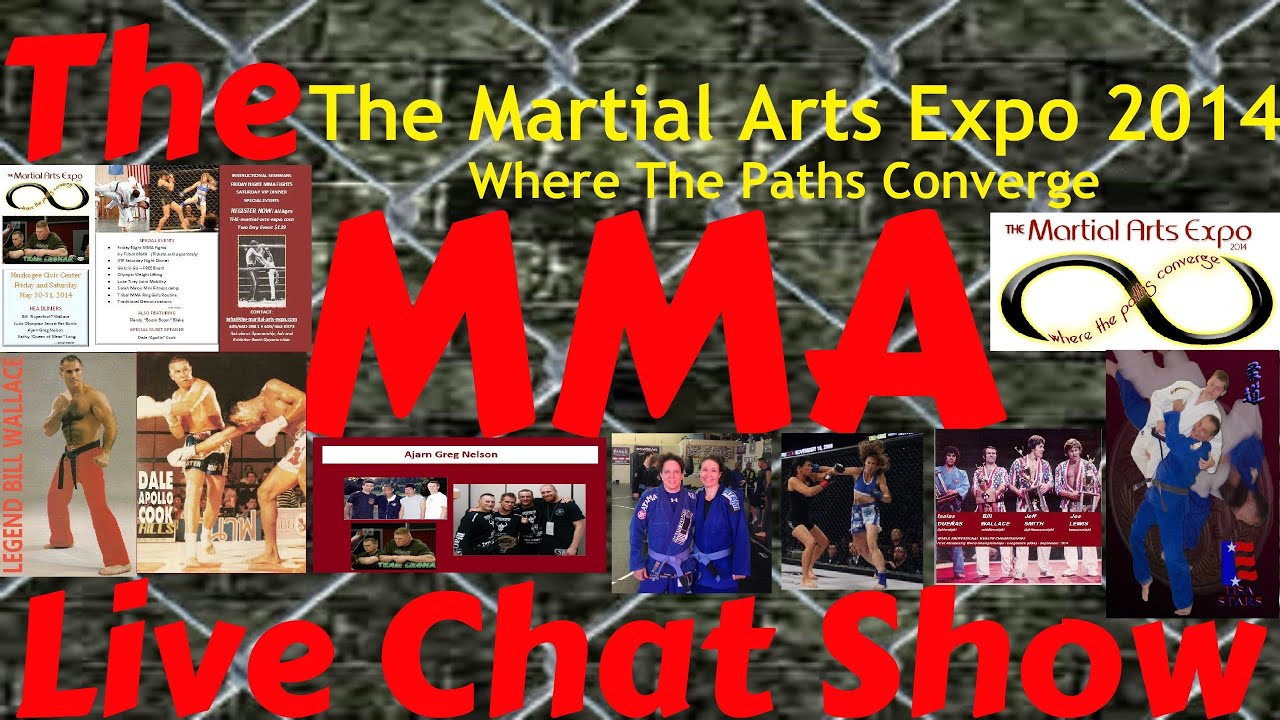 The Martial Arts Expo 2014 Discussion On 'The MMA Live Chat Show'