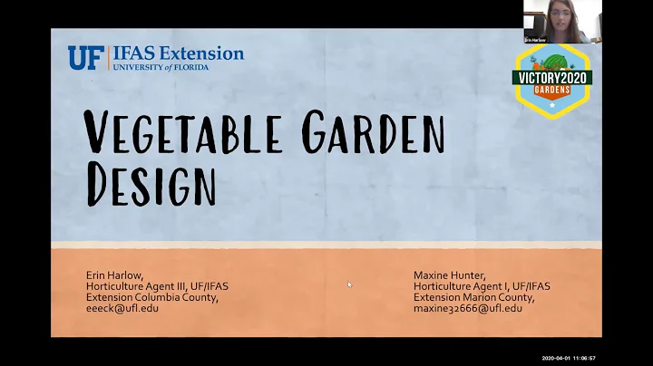 Vegetable Garden Design