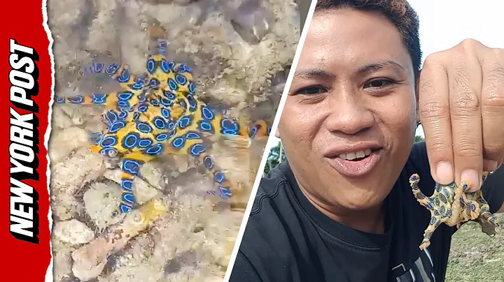 Shocking Moment Tourist Picks Up DEADLY Octopus