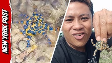 Shocking Moment Tourist Picks Up DEADLY Octopus
