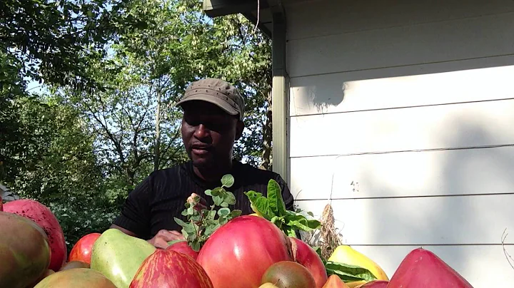 10 Things You Can Do With Heirloom Tomatoes