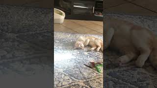 Hmm, What word or words would that be?🤔🤨🧐