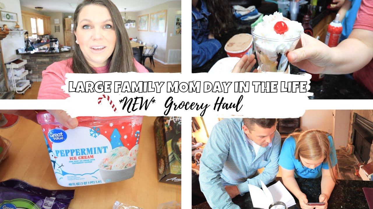 LARGE FAMILY VLOG || DAY IN THE LIFE OF A LARGE FAMILY HOMESCHOOL MOM ...