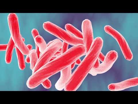 10 Gevaarlijkste Bacteriën ter wereld!