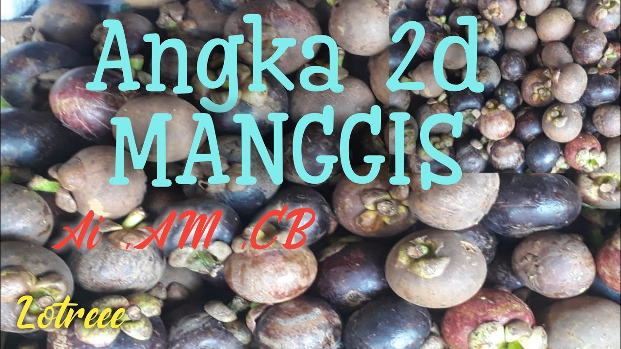 ࿘ Mimpi makan manggis  ൊ 