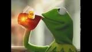 Tyler Herrick | Hutto