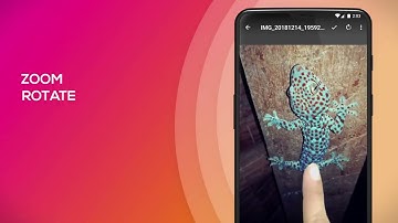 SIMPLE GALLERY PRO;: Give your media the gallery it deserves