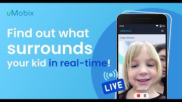 Real-time video stream report