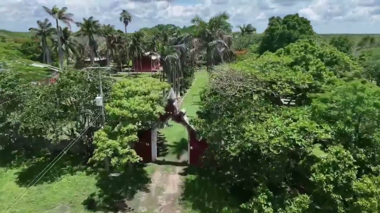 For Sale: Traditional Hacienda Near Mérida!