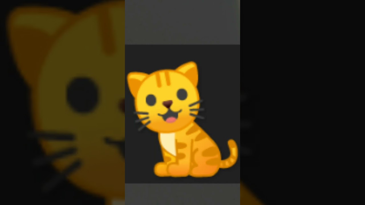 28 февраля 2024 г.