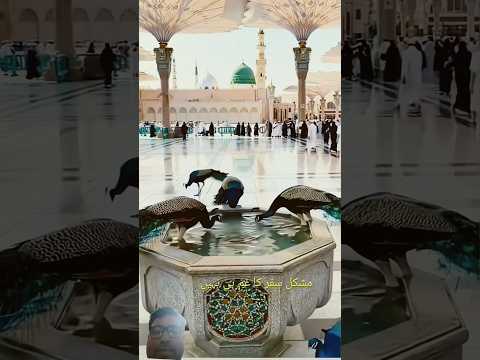 tu sath he hamko yake he 🤲🤲🤲🤲🤲♥️#islamicstatus#viralvideo#youtubeshorts