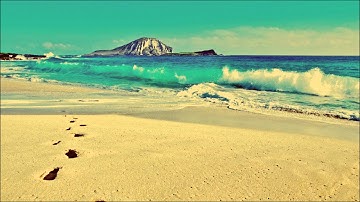 Michael E - It's True