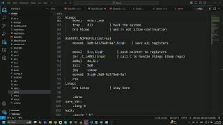 Trying to crash into the Linux kernel (NeXT/linux stuff)