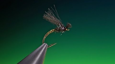 Tying the Poly wing midge with Barry Ord Clarke