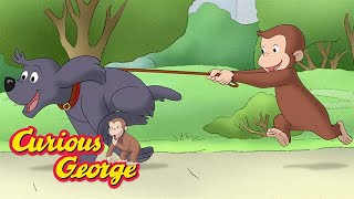 dog walking curious george kids cartoon kids movies