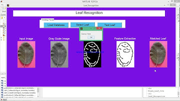 Leaf Recognition using  PCA