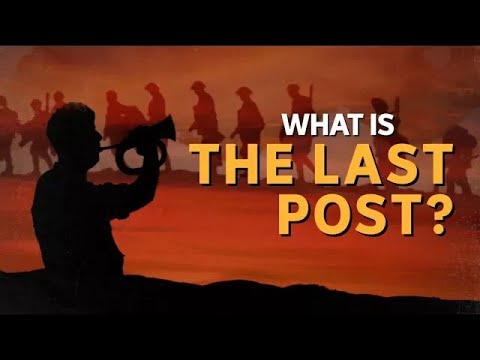 What is the