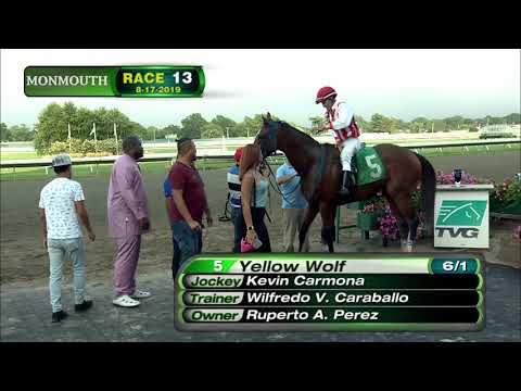 video thumbnail for MONMOUTH PARK 8-17-19 RACE 13