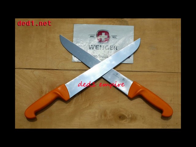 pisau sembelih SWIBO-victorinox @ Kampung Losong,Terengganu