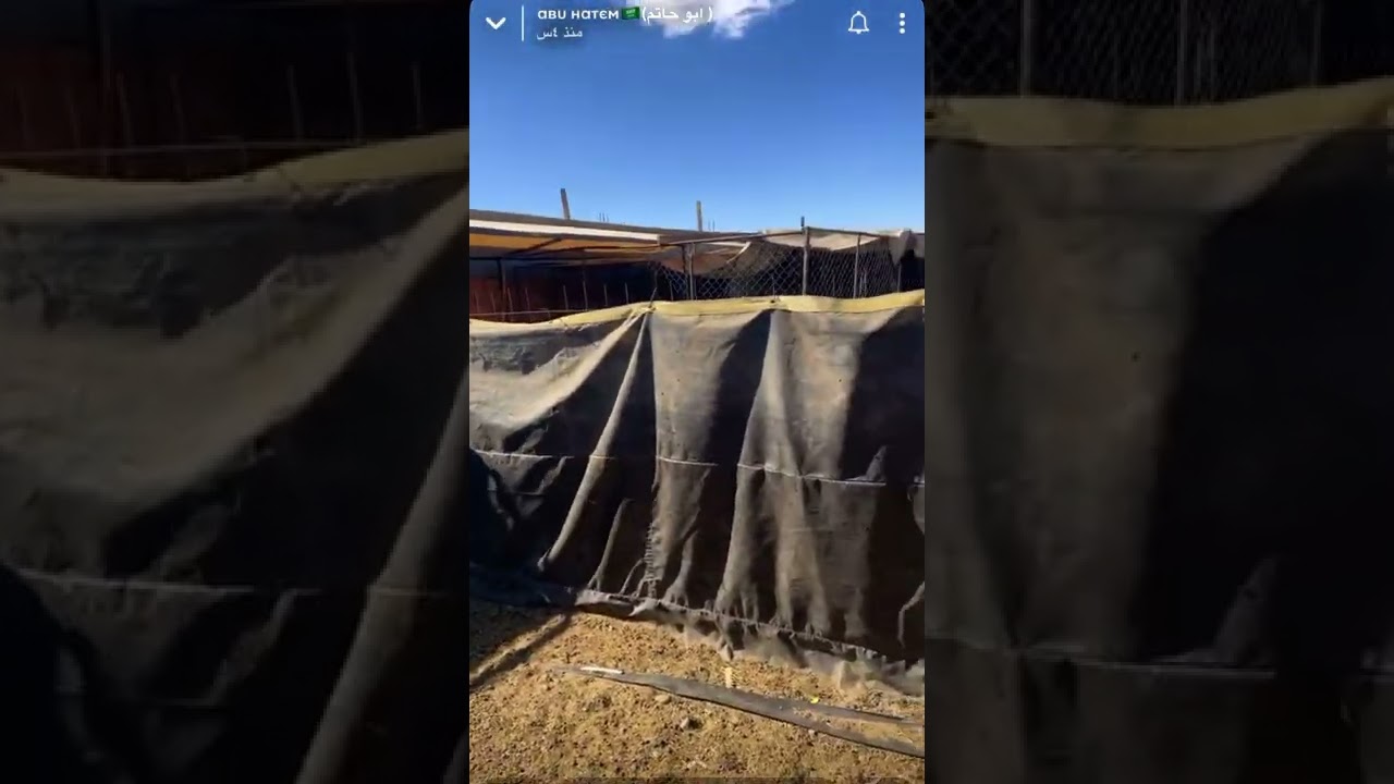 ولادات 2022/1/10 المجموعة الاولى(5)