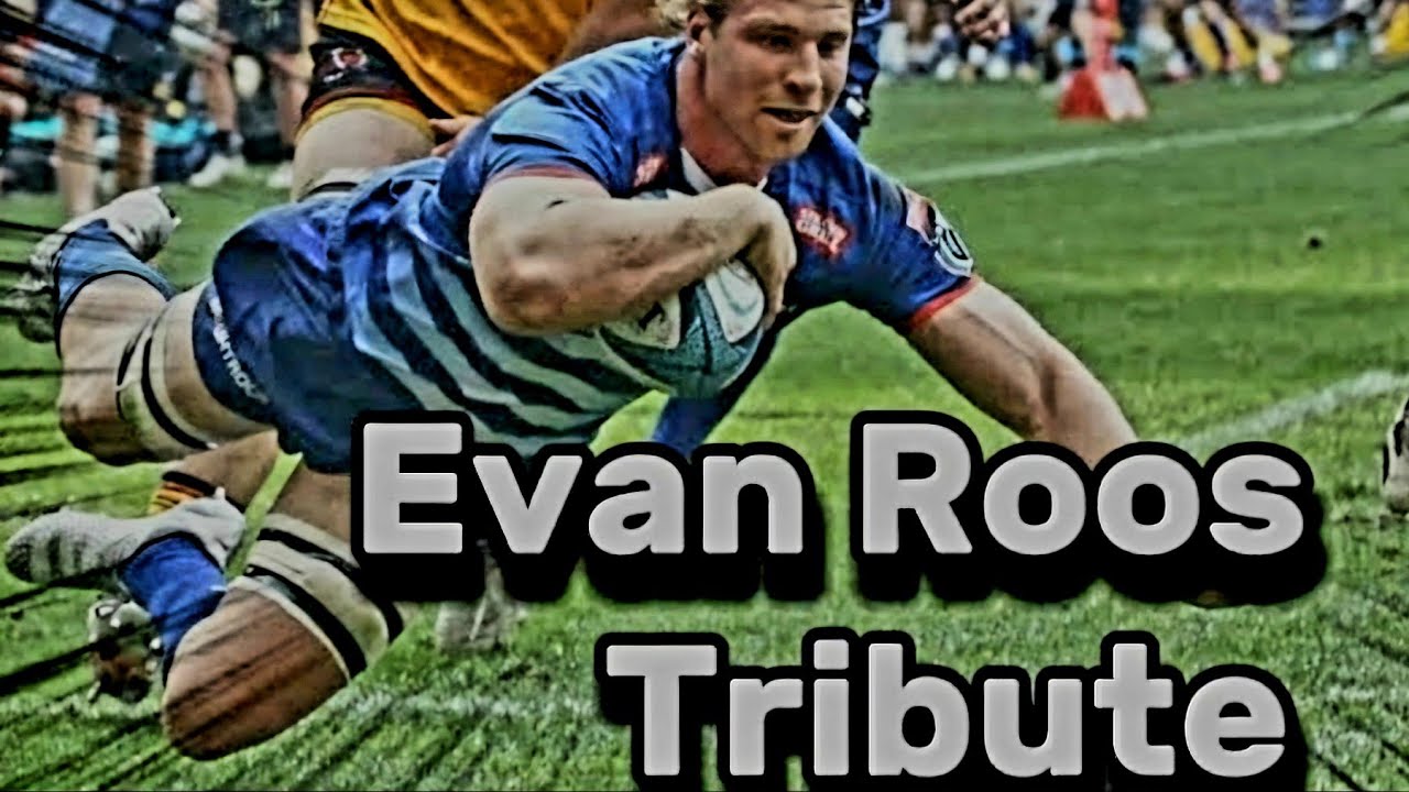 Evan Roos Tribute - Toughest Stormers & Springbok 8th man Rugby 🏉 ...