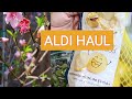 WE'RE BACK! ALDI HAUL & GARDEN UPDATE