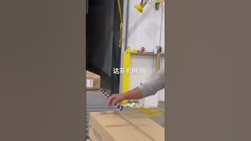 Duffy Container Loading Conveyor