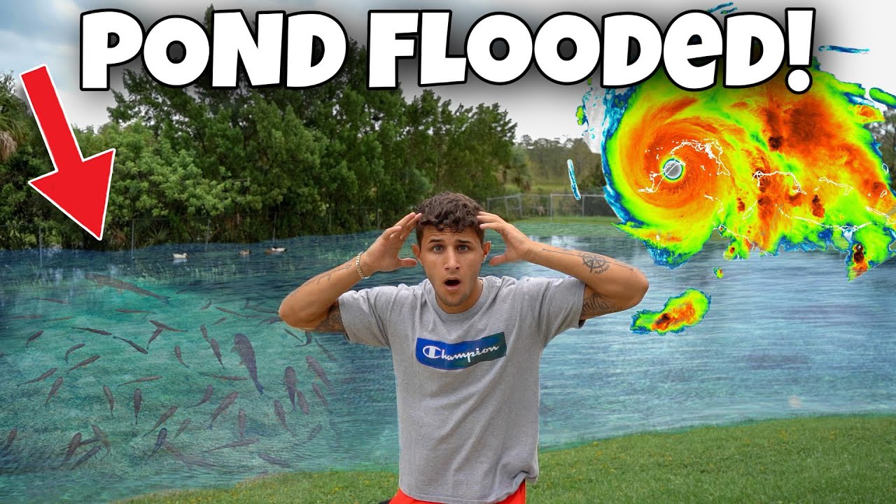 My FISH ESCAPED My BACKYARD POND!!