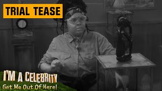 Trial Tease: Fright at the Museum | I'm A Celebrity... Get Me Out of Here!