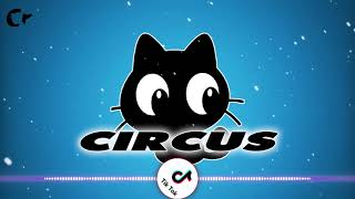 Video thumbnail of "Nhạc mèo đen | Circus - MagicMusicStudio | Crowditor"