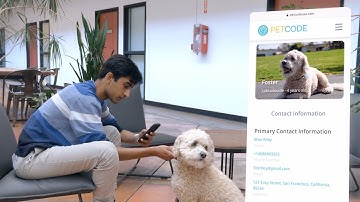 How the PetCode QR Tag Works
