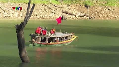 Tiêu điểm : BẢO VỆ RỪNG