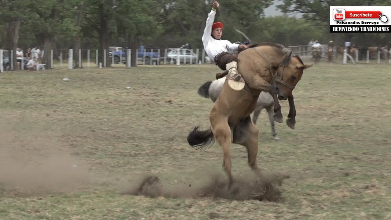 JINETEADAS CON BASTOS Y ENCIMERA - 25 RESERVADOS CON JINETES ELEGIDOS  Y 10 RESERVADOS A SORTEO