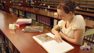 Ualbany From Accounting To Womens Studies