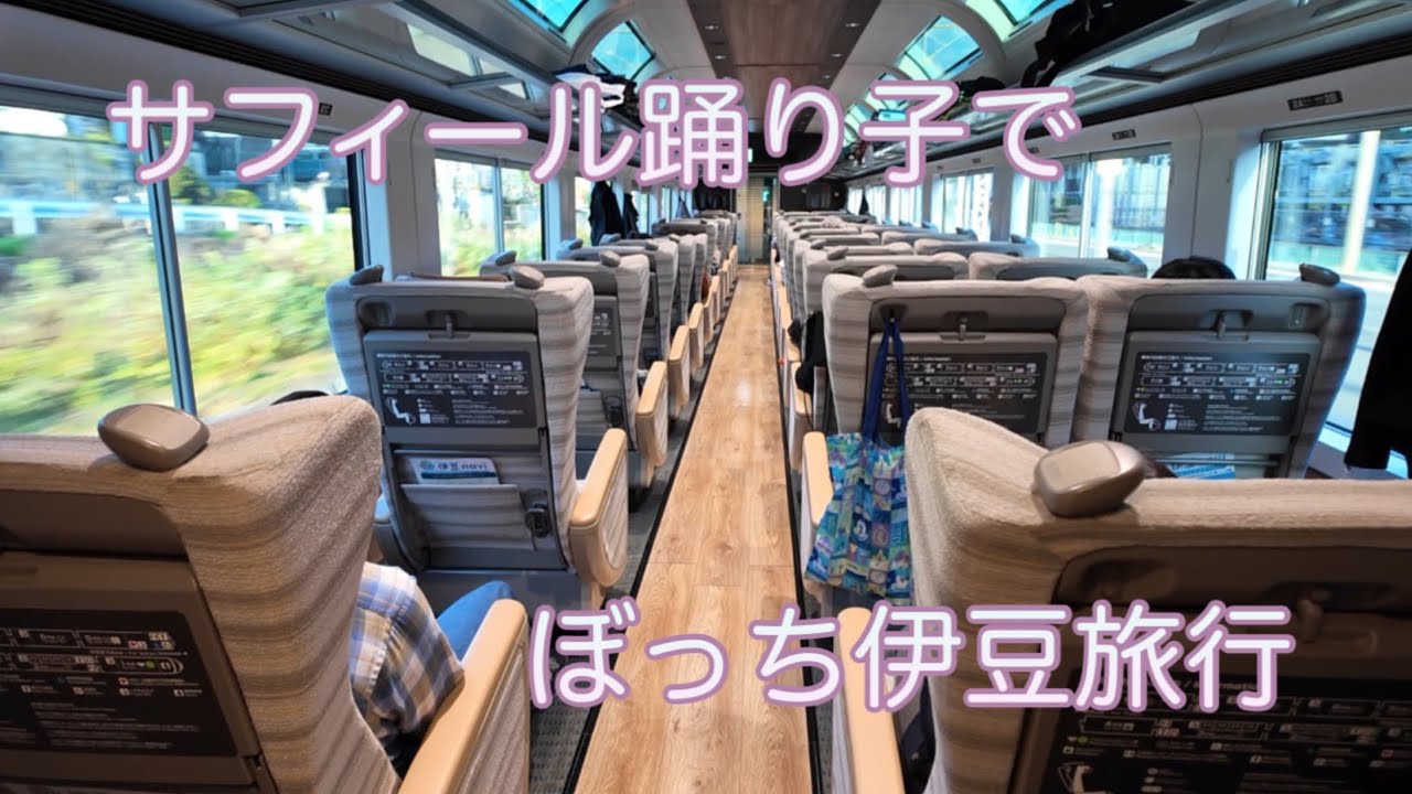 【現実逃避旅行】サフィール踊り子最前列に乗ってぼっち伊豆１泊旅行