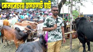 প্রচুর গরুর আমদানীতে জমজমাট আজকের হাটের কেনাবেচা | Qurbai Cow Haat is Huge Busy Today