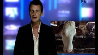 Bordheure Line Le Retour Des Farines Animales ?