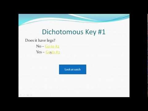 How to use a dichotomous key