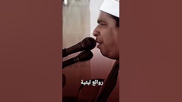 عملاق التلاوة الشيخ محمد الليثي رحمة الله عليه