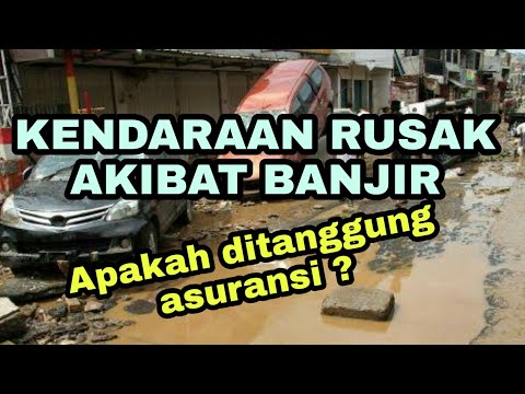 Video: Apakah asuransi banjir diperlukan untuk isi?