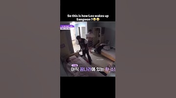 so this is how leo wake up sangwon 💓💖#alphadriveone #ald1 #allyz#leo #sangwon #fypシ #shorts #music