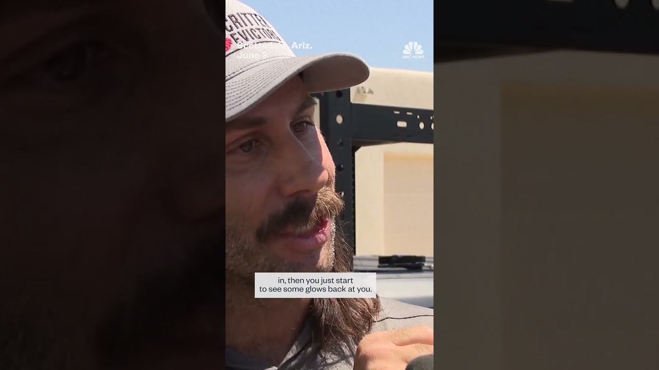 Arizona resident stunned to find bobcat hiding in attic