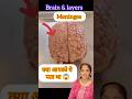 Brain Layers #shorts #youtubeshorts #nursing #healthtips #trending #hospital #injection