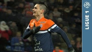 Ligue 1 - Week 14 : Goals compilation - 2013/2014