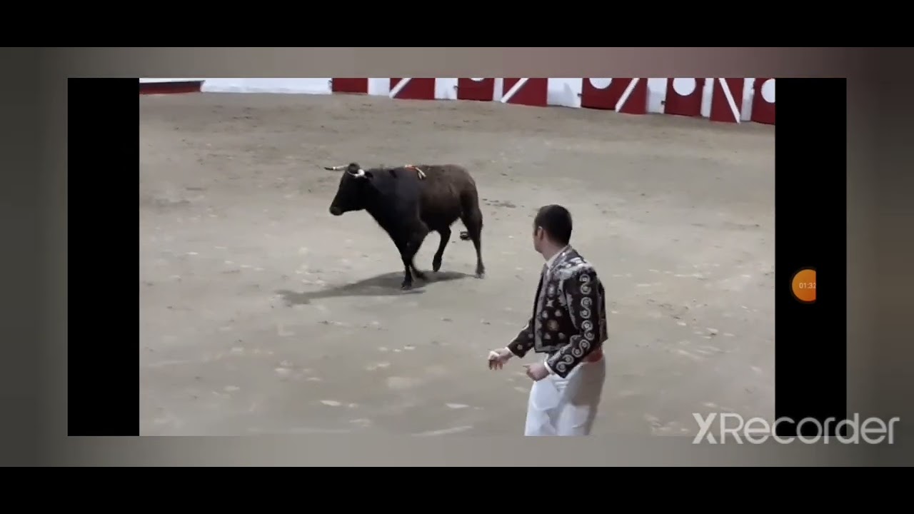 Défis des feiteurs Jerome Costarramone vache sans corde