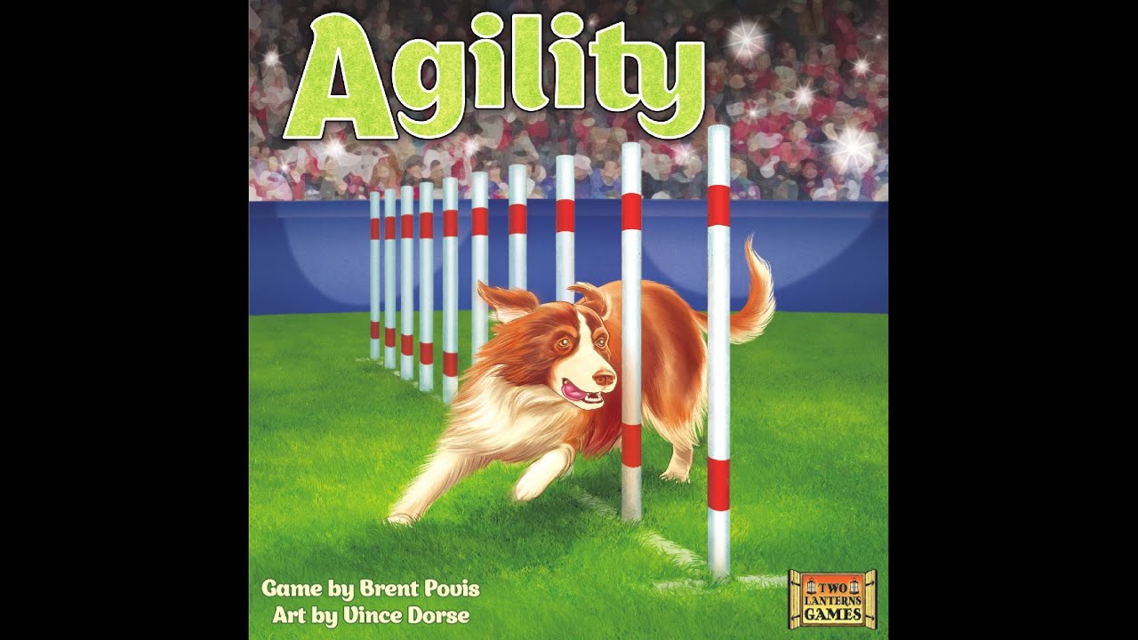 Is There Prize Money In Dog Agility