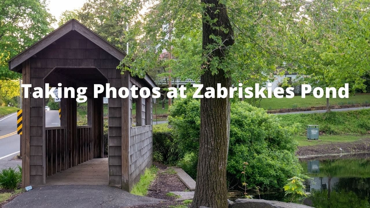 Taking Photos at Zabriskies Pond