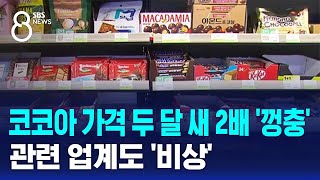 코코아 가격 두 달 새 2배 '껑충'…관련 업계도 '비상' / SBS 8뉴스