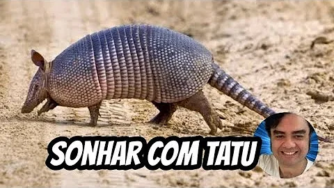 O que significa sonhar com um peba?